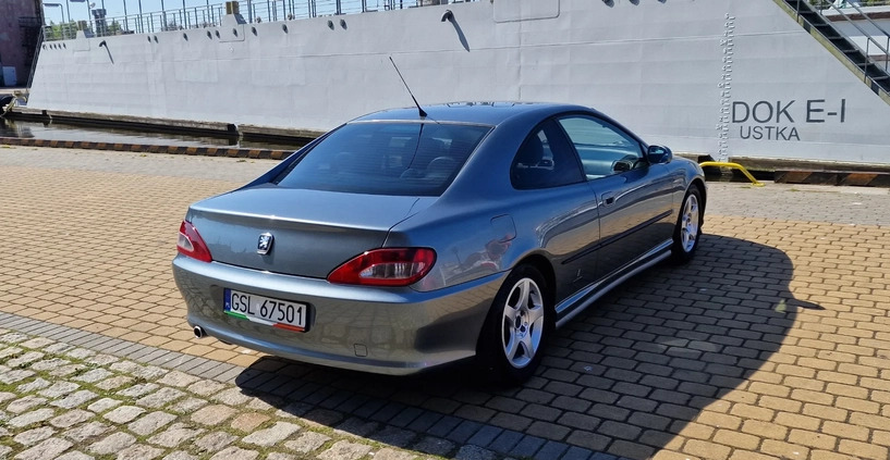 Peugeot 406 cena 25650 przebieg: 290000, rok produkcji 2004 z Ustka małe 67